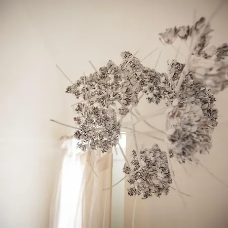 Le Ferule Bed and breakfast 4*