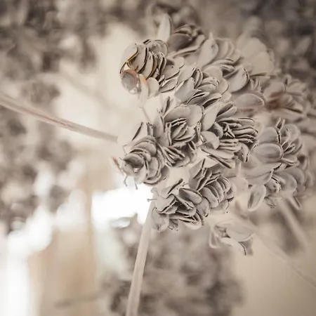 Le Ferule Bed & Breakfast Manfredonia