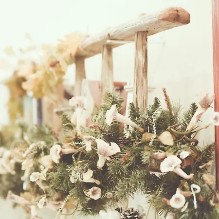 Le Ferule Bed & Breakfast