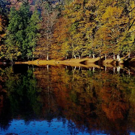 Bed & Breakfast Le Ferule