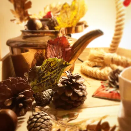 Alojamento de Acomodação e Pequeno-almoço Le Ferule 4*